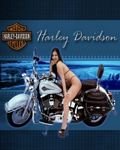 pic for Harley Davidson